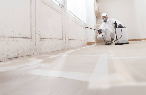 24/7 Emergency Mold Removal experts in Ottsville, PA